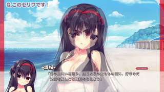 【頬染め10b】演出テスター用問題集